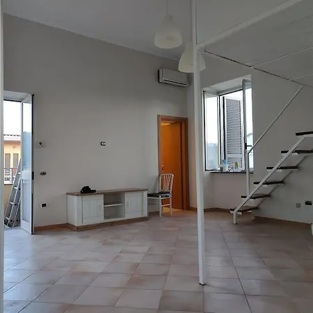 Casa Januensis *