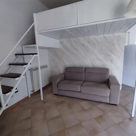 Casa Januensis *